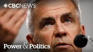 Carney has 'no way to avoid' some conflict of interest: expert | Power & Politics