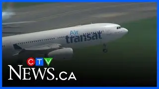 Grandparents denied flight due to lack of documentation for grandchildren