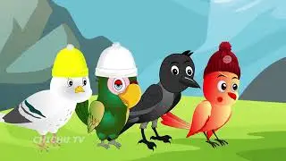 Rano birds Wala Cartoon | afu NewTuni Achi Cartoon | Hindi Kahani Dekhao | Chichu TV