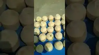 Pollachi Tender coconuts