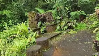 WET HOTSPRINGS BALI