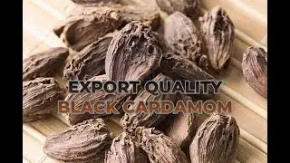 #exportspices #blackcardamom #exportquality #cardamom Export Quality Black Cardamom || Spice Export
