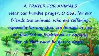 A Prayer for Animals