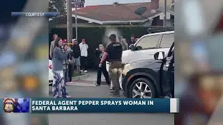 Woman Pepper-Sprayed During ICE Detainment Attempt in Santa Barbara