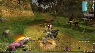 EverQuest 2 Let's play ep2 Queen&rsquo;s colony 