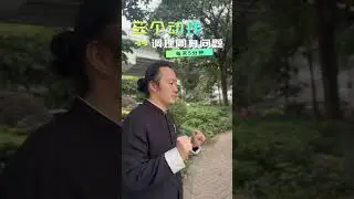 三个动作 调理周身#WuDangTaiChi #TaiChiJieSifu #KungFu #WuDangKungFuHeir #kungfumaster #kungfumovie
