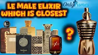 Le Male Elixir Closest DNA Dupes and Inspiration #fragrance #rayhaan #lattafa #scents #clubdenuit 