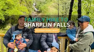 Family Hike to Sharplin Falls in Staveley | Discovering Nature's Beauty