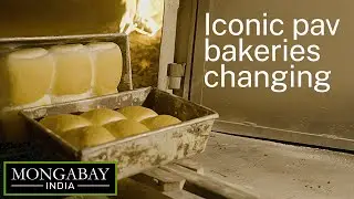 Why are Mumbai's bakeries feeling the pinch of the recent 