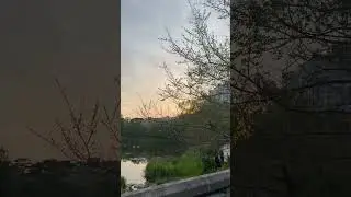 해질녘 호수공원 산책, A sunset walk at the lakeside park #sunsetwalk