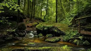 Relaxing sounds of water flow #subscribe #bestshortsever  #motivation #relaxing #fifa22