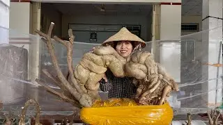 Siêu phẩm đẹp lạ ngày 25/01, phôi hoa giấy mỹ siêu to giao lưu toàn quốc ☎0939.421.599 Hương Đoàn