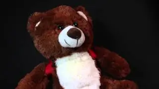 BooBuddy Ghost Hunting Trigger and Response Bear Teaser Video