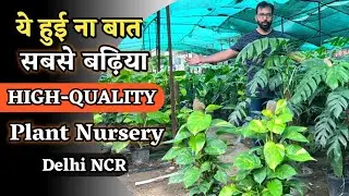 सबसे बढ़िया HIGH-QUALITY Plant Nursery In Delhi NCR | दिल्ली सबसे बढ़िया Plant Nursery