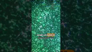 How Magnet Paper Works