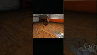 Cute spider mom with funny moment 😂😆😆😂#granny #funny #viralshort #shorts #funniestvideo