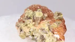Diopside &　Hessonite(Grossularite Garnet）
