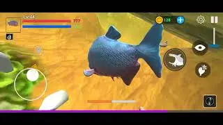 Gameplay feed and grow fish