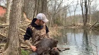 Beaver Catch #2 on the Urban Line, the MB750 is no joke! Deep rear-foot Catch!!