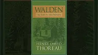 Walden Ambience Soundscape | Reading Music