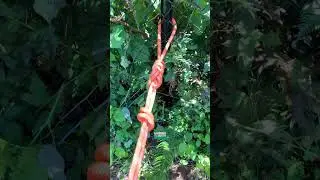 Roof Blow + Gutter Cleaning [Part 1] | Seattle | Portland | Vancouver, WA