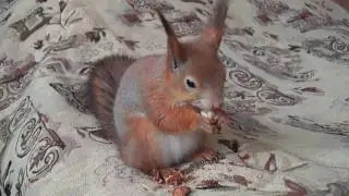 M4H00046.MP4