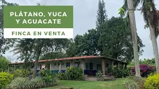 Finca productiva en venta La Tebaida Quind&iacute;o Colombia VENDIDO