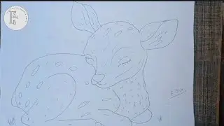How To Draw A Beautiful Deer Sketch Drawing With Pencil Step By Step ||Fantastic Sketch Book.
