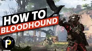 How to BLOODHOUND! | Apex Legends Character Guide