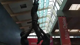 Shannon Airport Best Airport in the West of Ireland - Exploring and parking at the airport