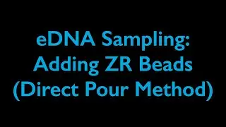 Adding ZR beads to Sterivex filters (direct pour method)