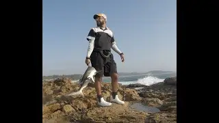 Land a shark in 3mins😱 !!!!