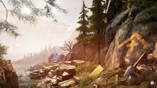 When the Exit Camper celebrates too early - Vigor