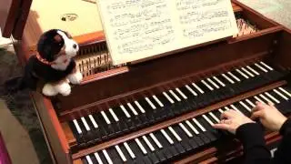 Bach: Prelude and Fugue in D Minor, BWV 875 (Rebecca Pechefsky)