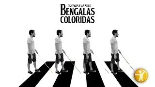 Os cegos e as suas bengalas coloridas.