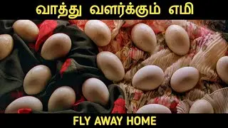 வாத்துக்கு பறக்க கற்று தரும் குட்டி பொண்ணு