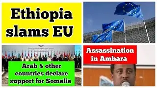Ethiopia slams EU | Arab & other countries declare support for Somalia | Assassination in Amhara