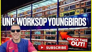 UNC - WORKSOP 1  YOUNGBIRDS Plainsfarm hs(great returns again) racing pigeons 2025