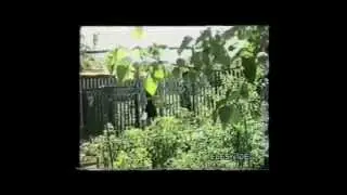 Elesker Elt&uuml;rk. UNUTA BİLSEM ( Любительский фильм-Мелодрама)
