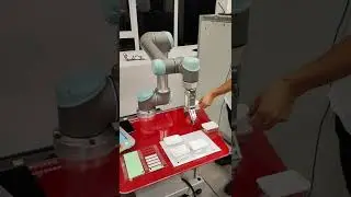 UR Robot Palletizing -