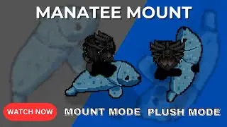 Manatee Mount Review | Graal Era