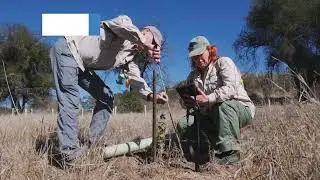 Collaborative Stewardship at Irvine Ranch, CA