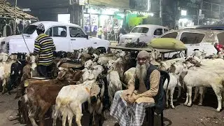 Raja Bazar Bakra Mandi Kolkata | Goat Market Price