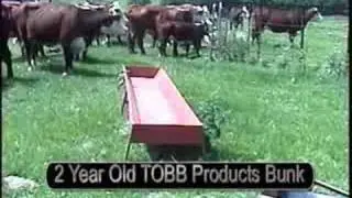 TOBB Products Bunk Feeder
