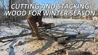 CUTTING WOOD AND STACKING FOR WINTER SEASON