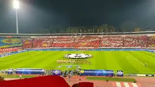 Red Star Belgrade - Young Boys 4. October 2023.