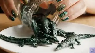 Tiny Animals ASMR | Oddly Satisfying Jar Pour 🐺🐤 🐢🐊🐘🐫| Hyper Realistic Miniature World