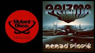 PREMIERE : Nenad Vilović - Prerija (Fox & His Friends Records)