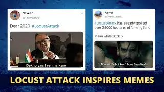 Locust Attack | Twitterati start Bollywood inspired meme fest as locust reaches Mumbai