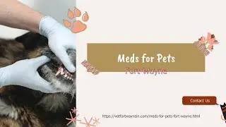 Meds for Pets Fort Wayne